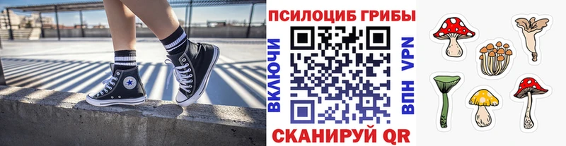 Псилоцибиновые грибы Magic Shrooms  хочу   mega сайт  Берёзовка 